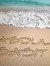 Abdul S...