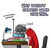 Հասմիկ Ավագյան