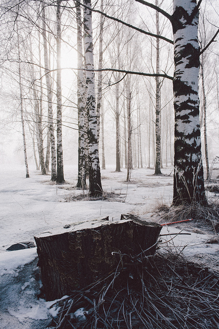 Goodreads profile picture for @unheard