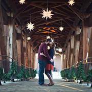 Laurel A. Carr-Michael