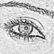Omnia Shirazy
