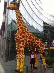 Миса Такемура