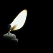 الزنبقة السوداء