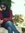 Mona Taha