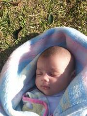 دلال نوباني