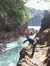 Wahyu D...