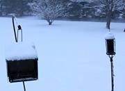 Chrissy Rigling-simon