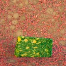Jonathan Bonikowsky