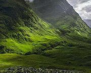 عيد المالكي