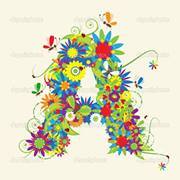 عبير ابوالغيط