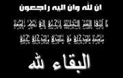 Reem Hamdy