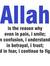 Majid T...