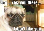 Таня Ташева