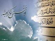 زبير منصوري