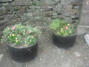 Tidy Towns