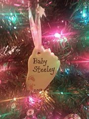 David Steeley