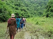 ফারিয়া যূথী