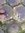 Alice Haworth | 3 comments