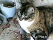 Ruby Mccutcheon-mooney