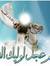 صقر السلام