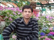 Anil Kumar Dhiman