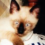 Janet Roberson maples