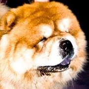 Chunwoo Kae
