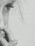 Maram .