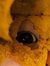 Thïyaga...