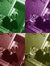 Larrynz...