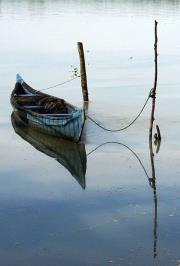 محمد القصيبي