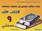 إبراهيم رفاعى