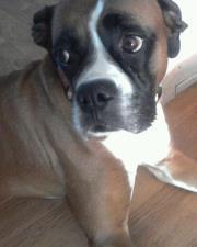 rhondabravo72yahoo.com