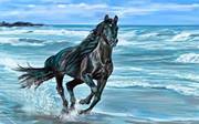 Mostafa Seif