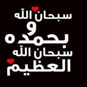 Ahmed Shawki
