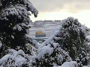 د.معاذ عقاب عواد