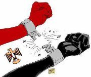 Mohammad Aboulfetouh