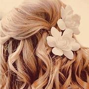 نسمة الربيع