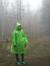 Tomek