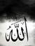 Moeez J...