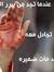 Abeer M...