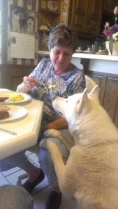 Jodi Marlene Newcomb