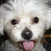 Leonardo Solis vasquez