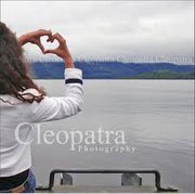 الحلم الوردي