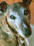 Zippy :D