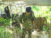 รัฐนริศร์ วัฒนศิริดำรง