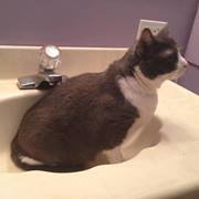 Aaron Enequist-leiker