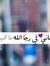 Ahmed I...