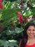 Shivani