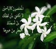 شذى الياسمين